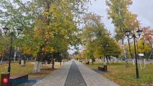 Жителей Пензенской области ждут солнечные и теплые дни