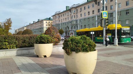 На площадь Ленина переставили вазоны с улицы Московской