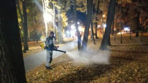 Пензенцам с собаками пока не следует посещать Олимпийскую аллею