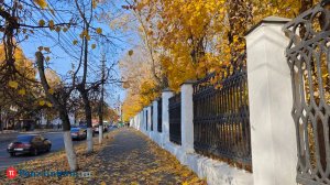 16 октября синоптики обещают пензенцам теплый день без осадков