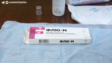 Олег Мельниченко напомнил пензенцам о вакцинации от гриппа