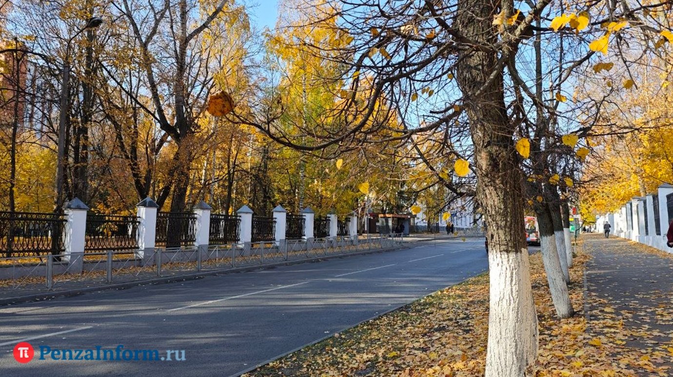 Жителей Пензенской области ждут теплые выходные