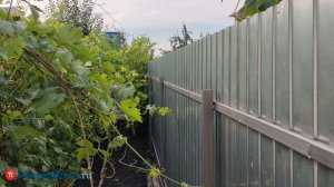 В 2026 году пензенцы реже ездили на дачи, чем в 2025-м