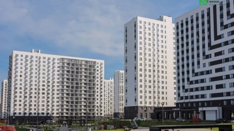 Губернатор поддержал проект малоэтажной застройки в «Лугометрии»
