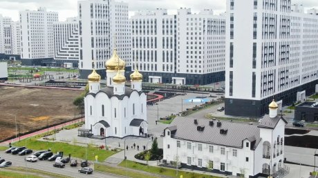 Губернатор поддержал проект малоэтажной застройки в «Лугометрии»