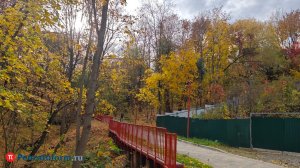 27 октября температура в регионе будет выше климатической нормы