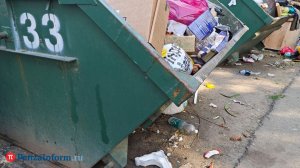Руководитель регоператора заплатит за несвоевременный вывоз мусора