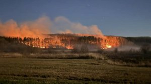 В МЧС прокомментировали пожар в Каменском районе