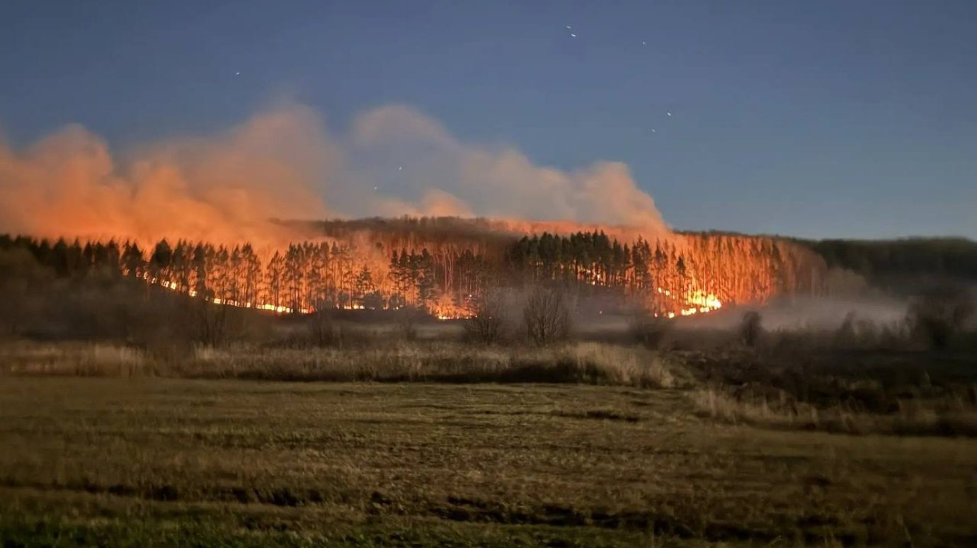 В МЧС прокомментировали пожар в Каменском районе