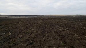 В 4 районах области проведут археологические раскопки