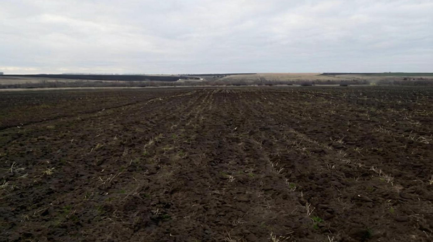 В 4 районах области проведут археологические раскопки