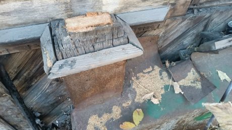 Пензенцы разбирают на части старинный дом на улице Гладкова