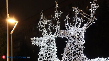 В Пензе пообещали наказывать за порчу новогодних украшений