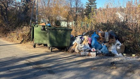 По дороге на улице Ватутина катаются мусорные баки