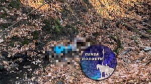 В районе базы отдыха «Русская охота» нашли тело человека