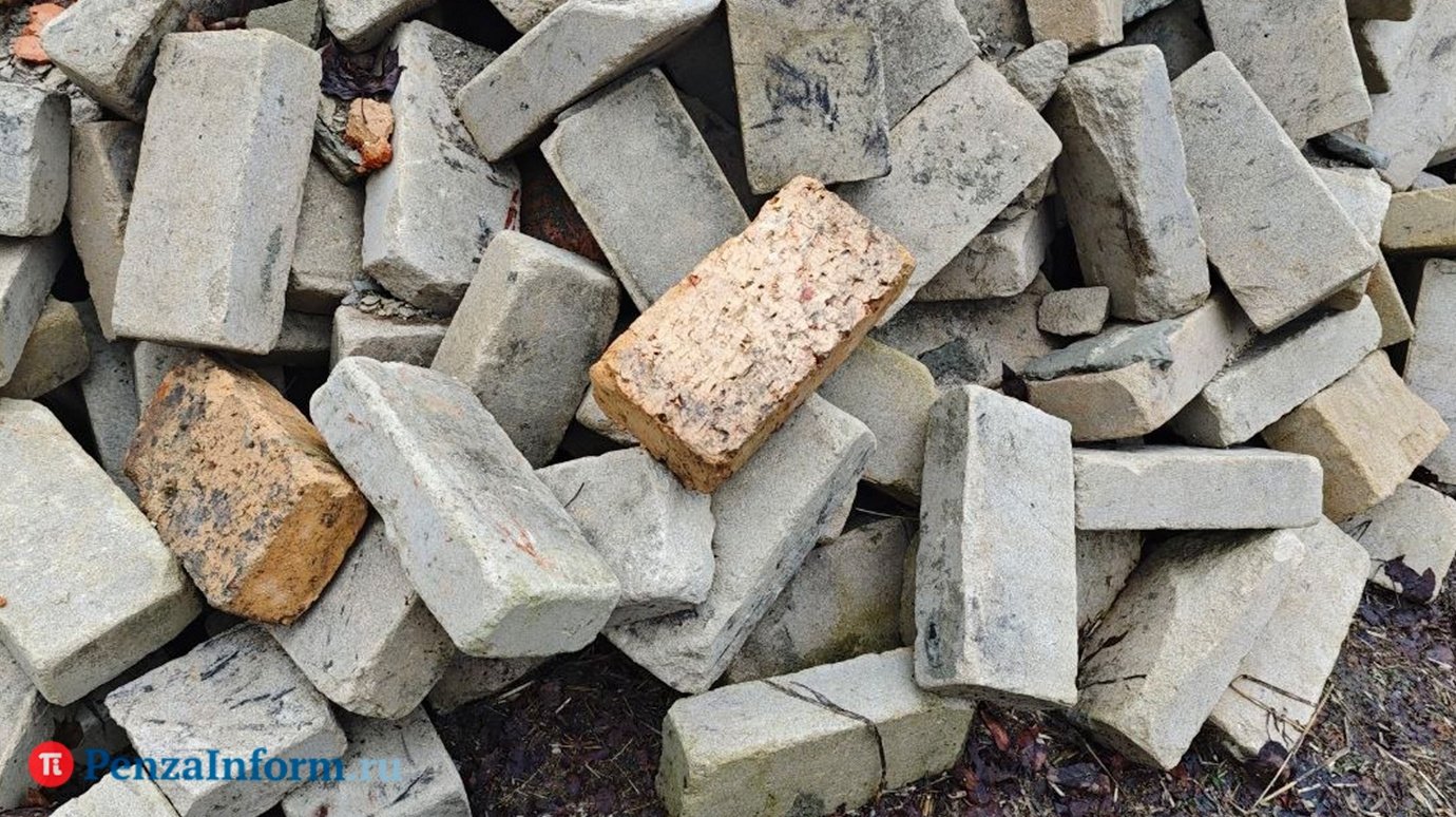Китайская молодежь начала заводить вместо питомцев кирпичи