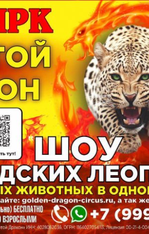 Цирк Золотой Дракон Набережные Челны Купить